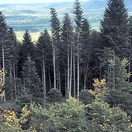 Nocleg ze śniadaniem Na Końcu świata 3*
