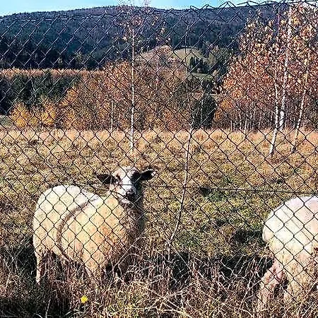 Na Końcu świata Nocleg ze śniadaniem